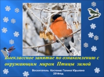 Презентация по окружающему миру Птицы зимой