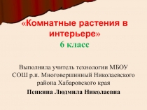 Презентация по технологии на тему  Комнатные растения в интерьере. 6 класс