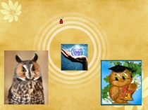 Викторина Эти загадочные растения.6 класс.