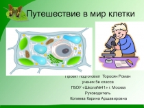 Презентация по биологии на тему Клетка (5класс)