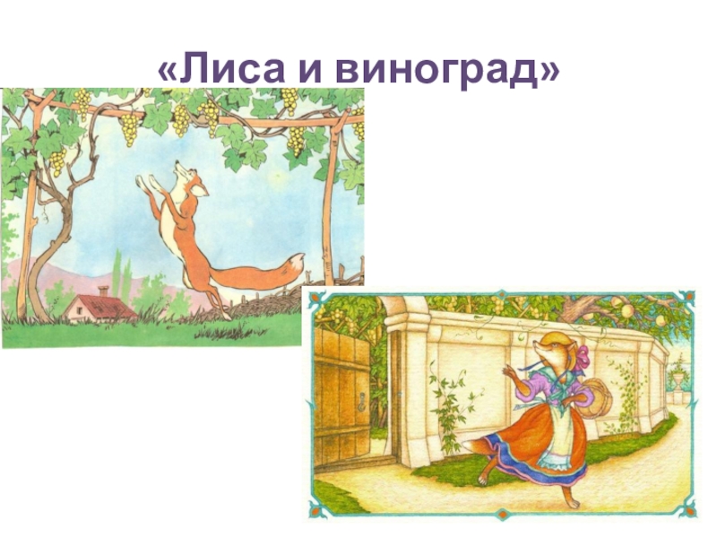 Рисунок лисица и виноград