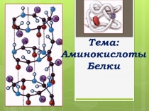 Презентация лекции по химии: Аминокислоты и белки