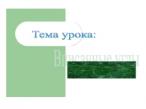 Презентация по геометрии Вписанный угол (8 класс)