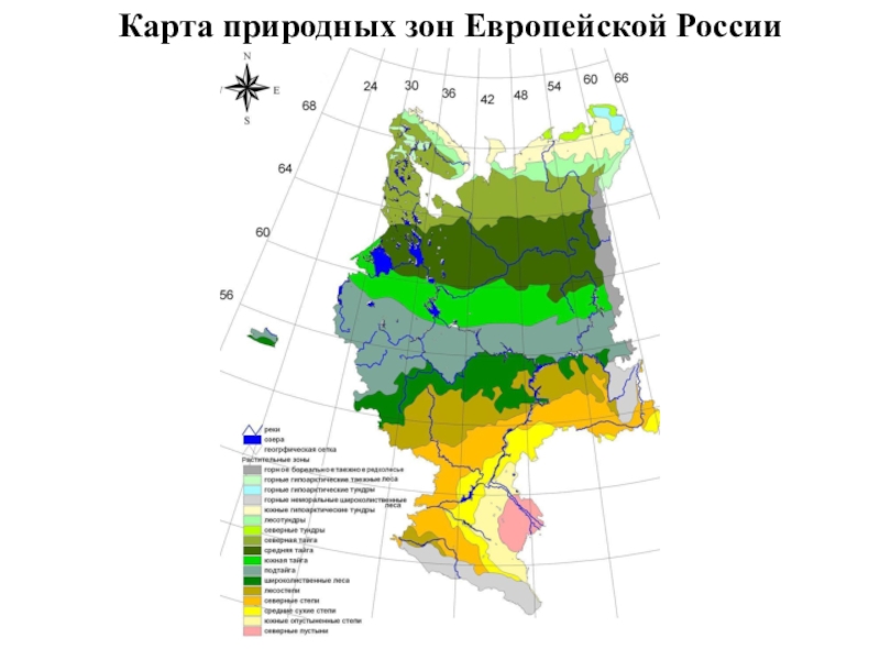 Какой природной зоны нет на европейской территории. Карта природных зон европейской России. Карта природных зон Европы. Природные зоны Европы. Карта природно климатических зон.