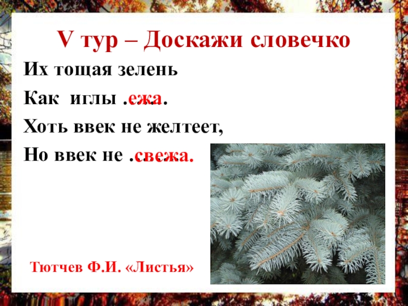 Обобщение по разделу поэтическая тетрадь 3. Их тощая зелень, как иглы ежа,. Их тощая зелень, как иглы ежа, хоть ввек не желтеет, но ввек не свежа.. Их тощая зелень как. Зелень, как иглы ежа.