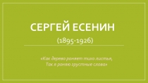 Презентация по литературе 11 класс. Сергей Есенин.