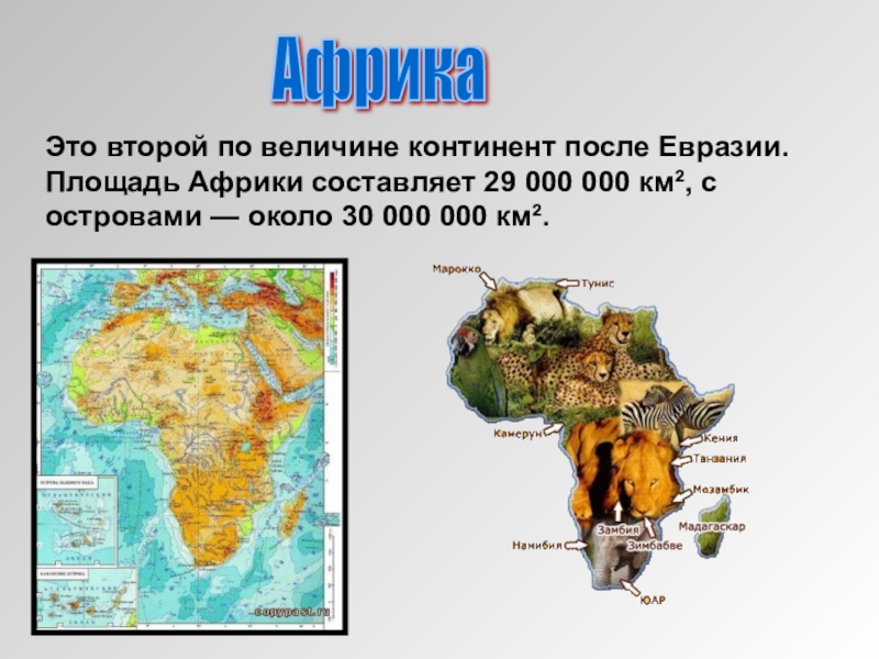 Материк после евразии. Площадь материка Африка. Размер материка Африка. Африка по величине территории материк. Площадь континента Африка.