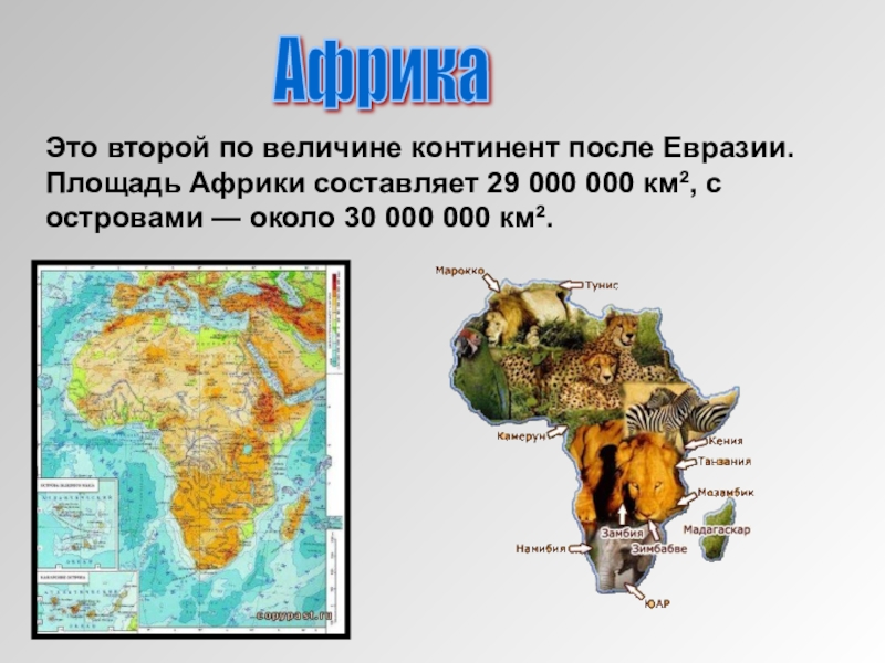 Площадь африки. Африка второй по площади Континент после Евразии. Площадь материка Африка км2. Континент Африка площадь. Африка по величине территории материк.