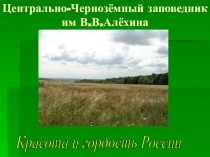 Презентация по биологии на тему Красота и гордость России