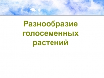 Презентация по биологии Разнообразие голосеменных