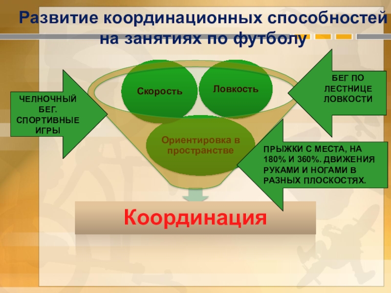 Развитие двигательных координаций