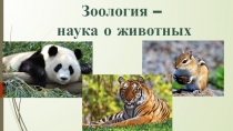 Презентация по биологии Зоология - наука о животных ( 8 класс)