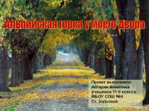 Презентация исследовательского проекта Альпийская горка у моего двора
