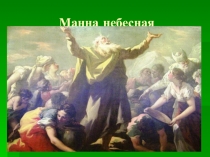 Презентация по биологии 5 класс Лишайники