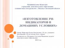 Презентация к исследовательской работе ИЗГОТОВЛЕНИЕ РН-ИНДИКАТОРОВ В ДОМАШНИХ УСЛОВИЯХ