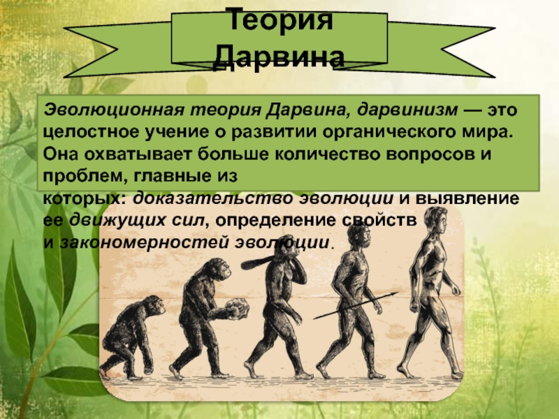 Презентация эволюционная теория дарвина 9 класс презентация