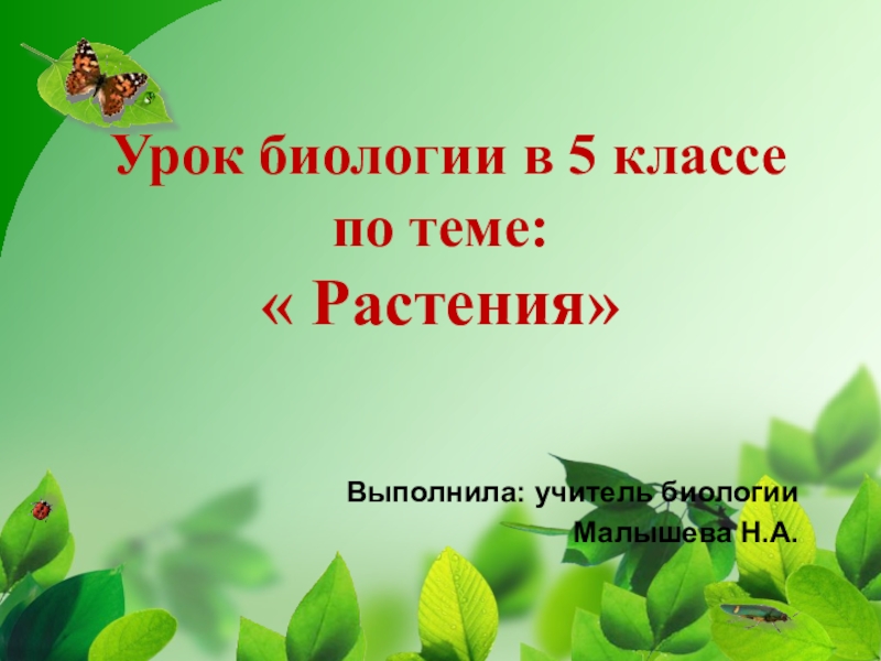 Проект по биологии 5 класс растения