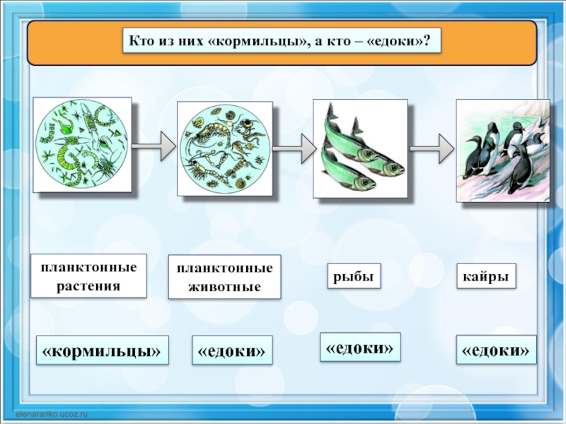 Растения кормильцы. Кормильцы едоки мусорщики. Едоки животные. Кормильцы едоки мусорщики в экосистеме.