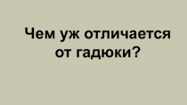 Презентация Чем уж отличается от гадюки