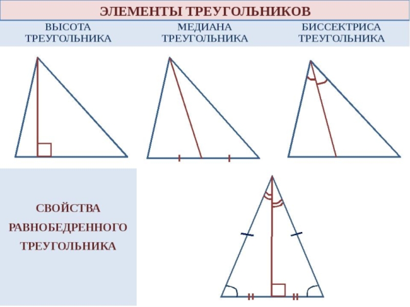 Треугольник биссектриса медиана высота рисунок. Медиана биссектриса и высота треугольника 7 класс. Треугольники высота Медиана биссектриса треугольника 7 класс. Медиана биссектриса высота 7 класс. Рисунок Медианы биссектрисы и высоты треугольника.