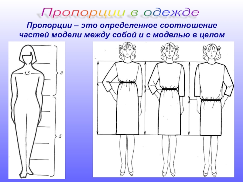 Пропорции в одежде