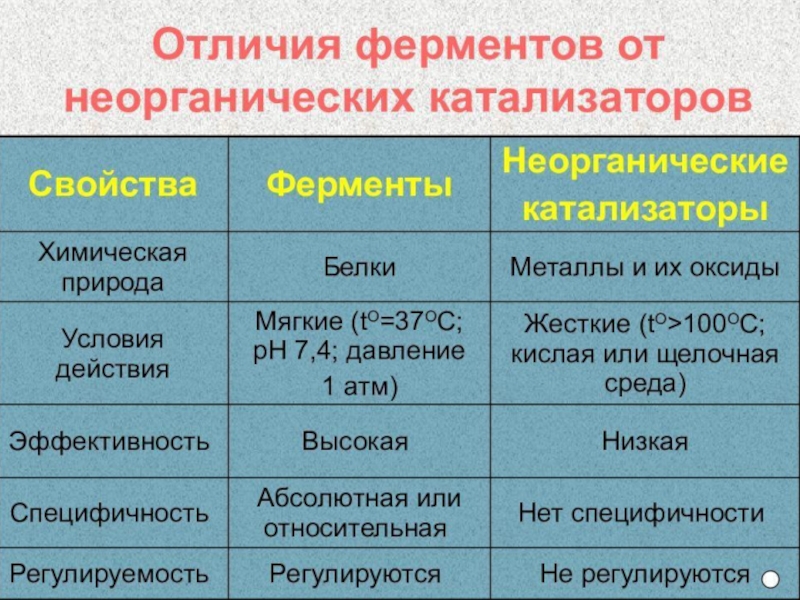 Ферменты биологические катализаторы 10 класс презентация