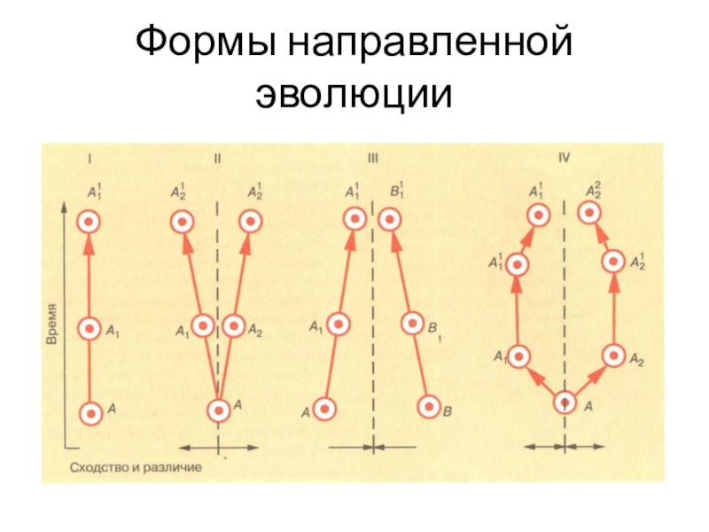 Эволюция егэ презентация