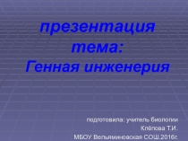 Презентация по биологии на тему Генная инженерия (10класс)