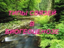 Презентация урока на тему Типы связей в биогеоценозе