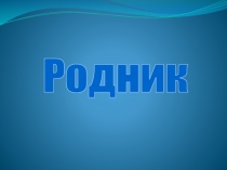 Презентация исследовательской работы Родник