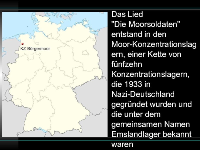 Доклад: Die Toten Hosen