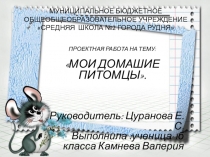 Творческий проект на тему Мои домашние питомцы