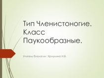 Класс паукообразные