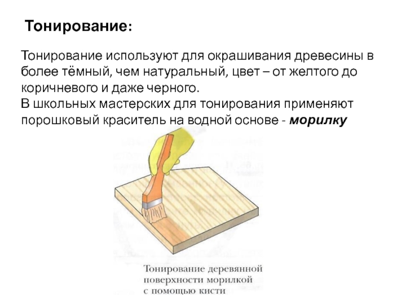 Тонирование:Тонирование используют для окрашивания древесины в более тёмный, чем натуральный, цвет – от желтого до коричневого и