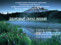 Что такое здоровый образ жизни и как его соблюдать