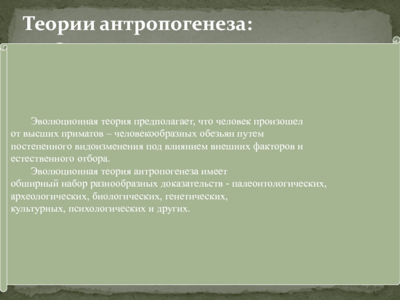 Теория предполагает. 1 Эволюционное учение предложил. Теория антропогенеза Фрейда.