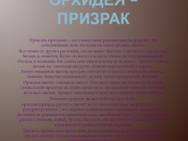 Презентация по окружающему миру Орхидея