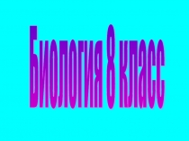 Презентация по биологии на тему  Место человека в системе органического мира