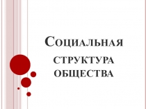Презентация по обществознанию Социальная структура, социальные статусы и роли