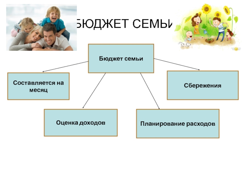 Хозяйство семьи схема