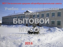 Презентация Бытовой мусор и окружающая среда