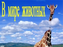 Презентация для Разработки внеклассного мероприятия. Спортивное состязание с интересной информацией о животном мире.