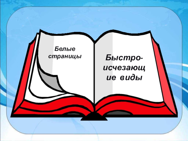 Красная книга белые страницы. Белые страницы красной книги животные и растения. Красная книга картинки для детей белые страницы. Рисунки белые страниц из красный книги из проекта.