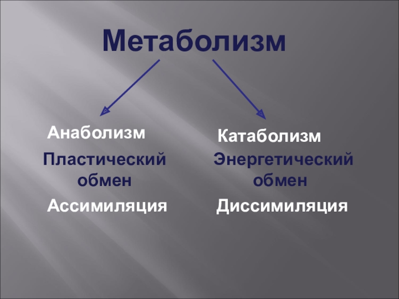 Примеры диссимиляции в биологии. Пластический анаболизм. Анаболизм пластический обмен. Анаболизм пластический обмен катаболизм энергетический обмен. Анаболизм машин.