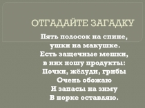 Презентация по окружающему миру на темуБурундуки