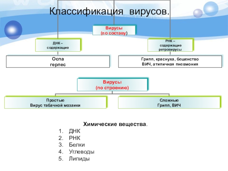 Презентация на тему классификация вирусов