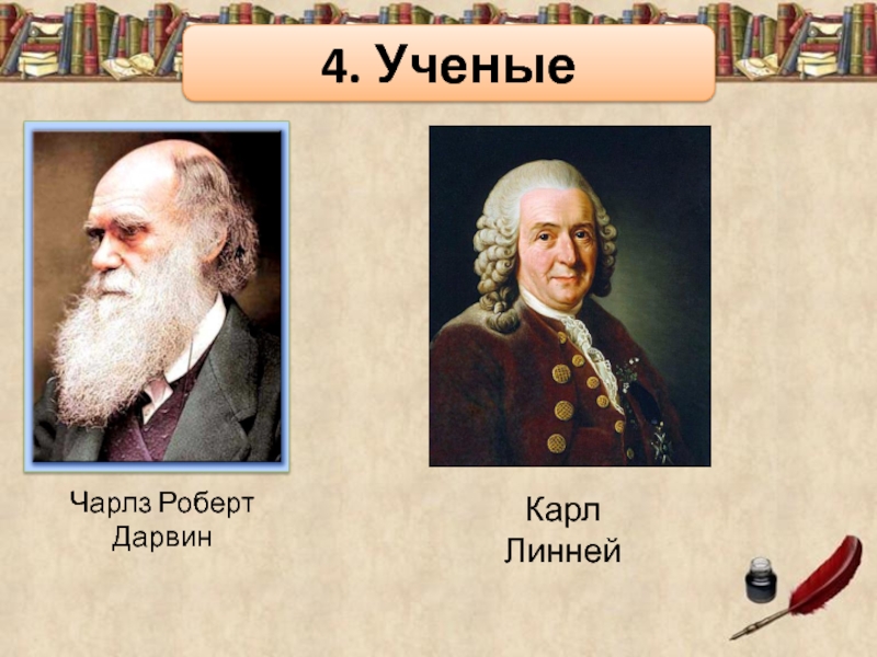 Дарвин маркет. Чарльз Дарвин, Линней. Чарльз Дарвин и Карл Линней. Чарлз Роберт Дарвин. Карл Линней Ламарк Дарвин.