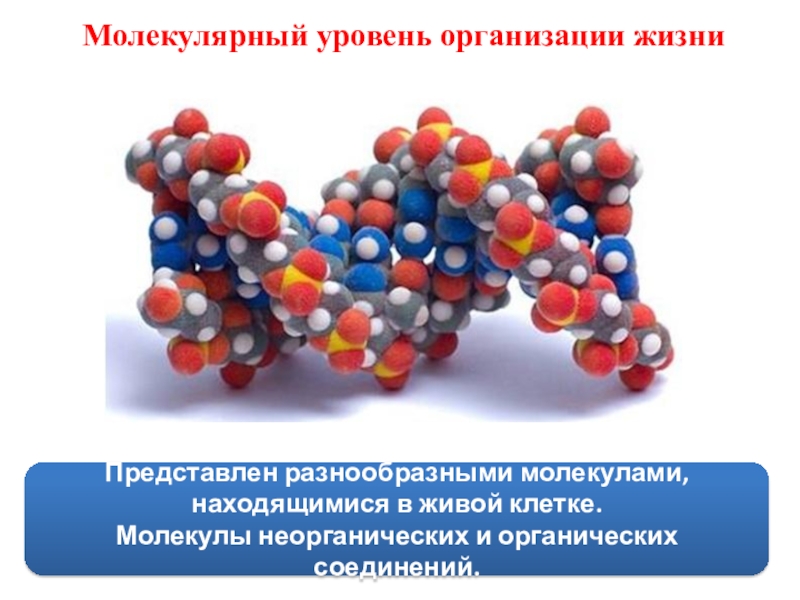 Органические и неорганические молекулы