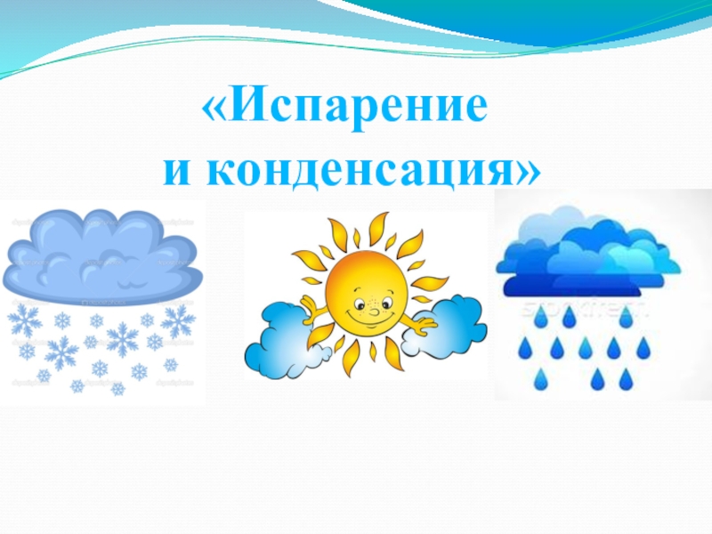 Испарение и конденсация в живой природе проект