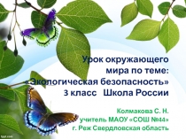 Презентация к уроку окружающего мира по теме; Экологическая безопасность (3 класс Школа России)